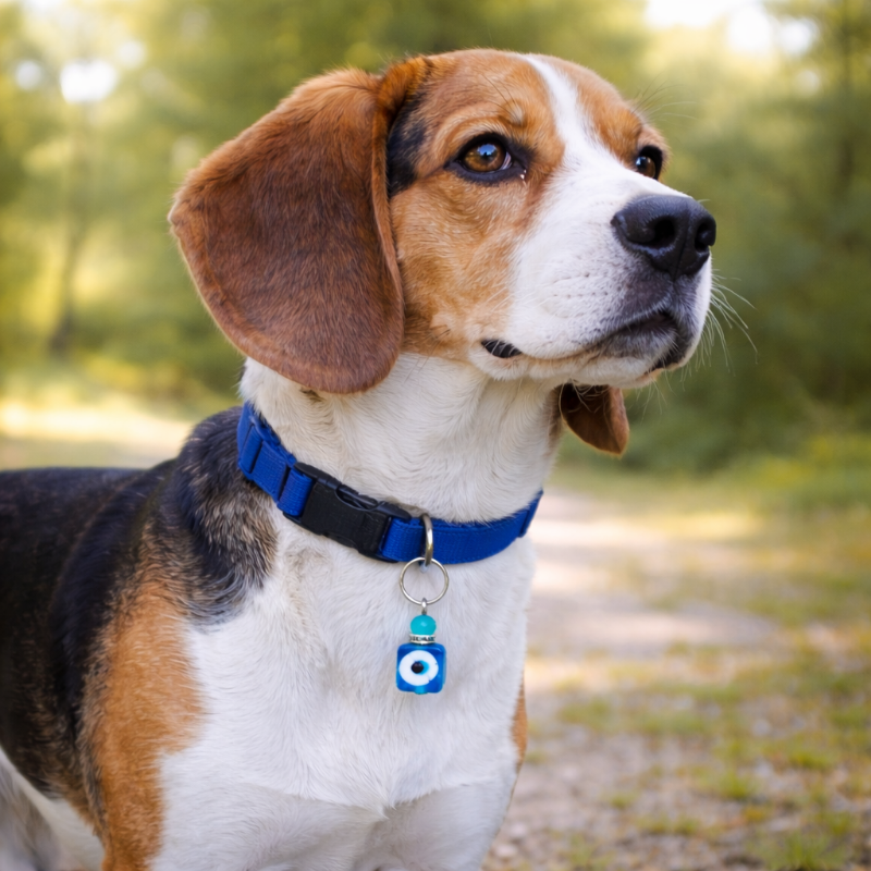 Pet Protection Evil Eye Collar Charm