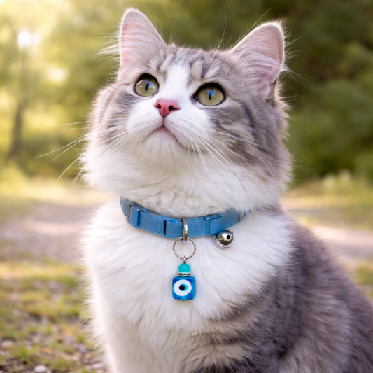 Pet Protection Evil Eye Collar Charm