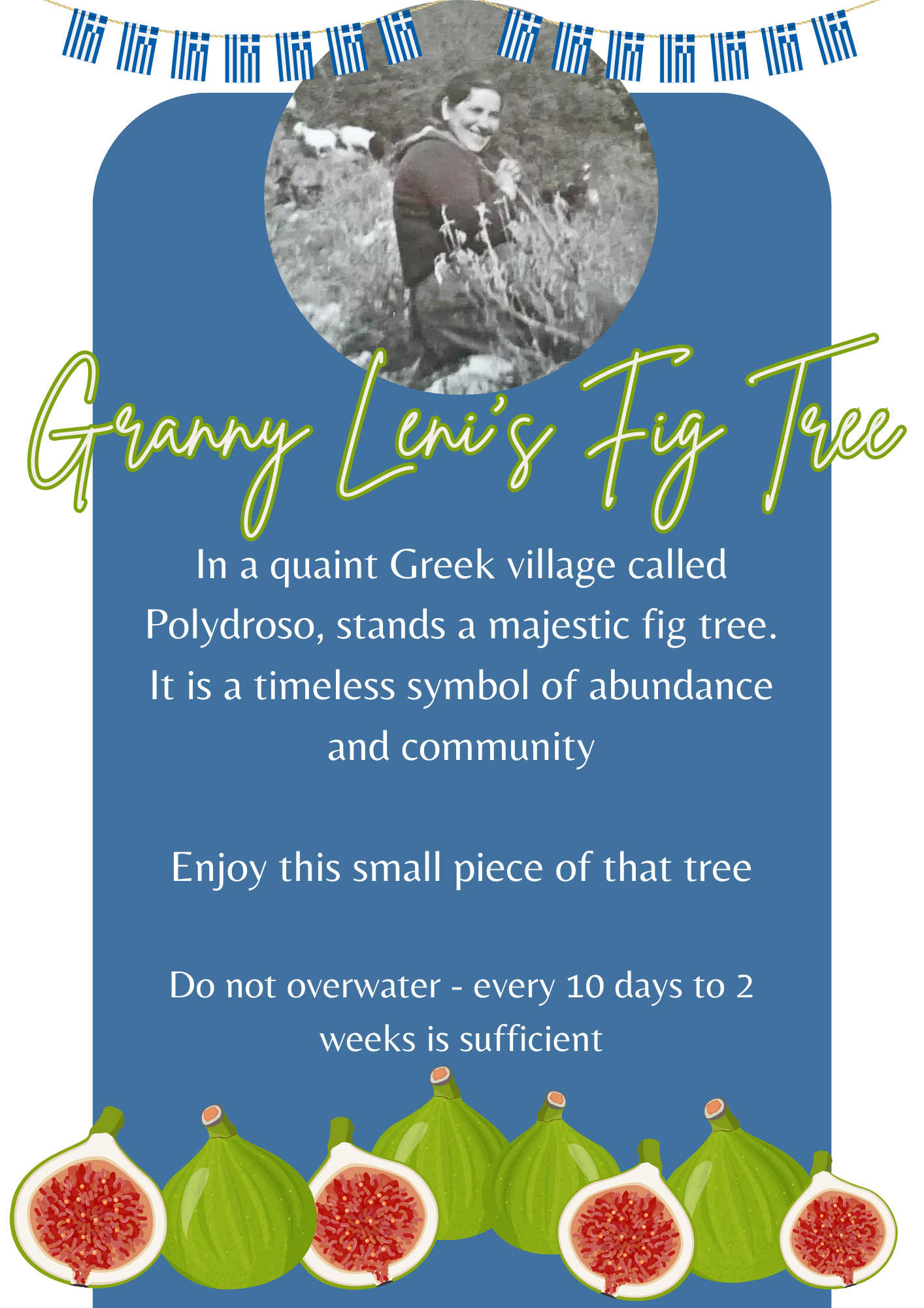 Granny Leni's Fig Tree